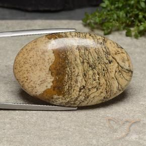 Jaspe Multicolore naturelle ovale, 42.66 ct, Opaque