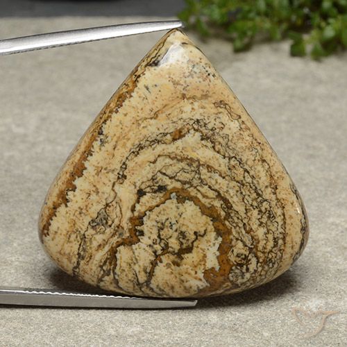 39.54ct Naturel Multicolore Jaspe, En forme de poire, Opaque