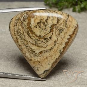 Jaspe Multicolore naturelle En forme de poire, 39.54 ct, Opaque