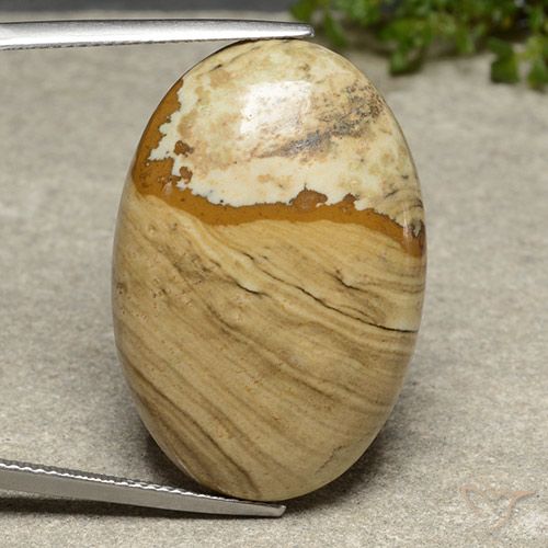 31.11ct Naturel Multicolore Jaspe, ovale, Opaque