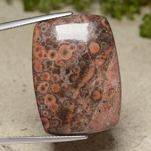 Jaspe Multicolore naturelle Coussin, 31.13 ct, Opaque