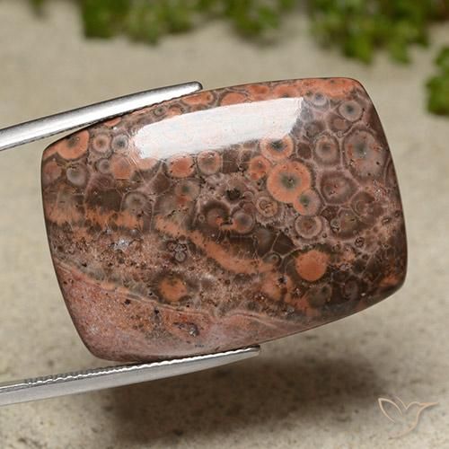 Jaspe Multicolore naturelle Coussin, 31.13 ct, Opaque