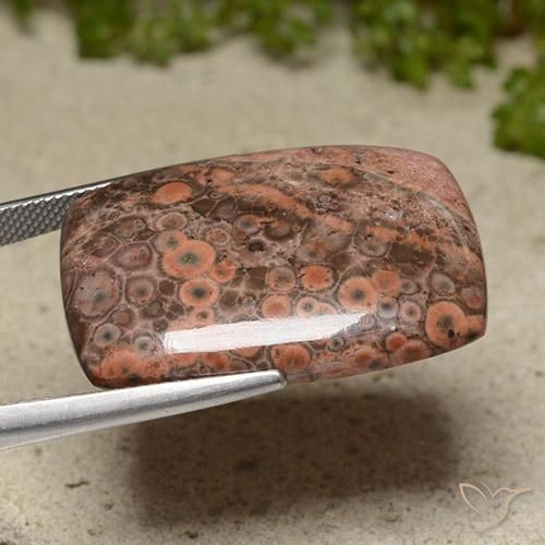 Jaspe Multicolore naturelle Coussin, 31.13 ct, Opaque