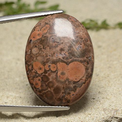 19.34ct Naturel Multicolore Jaspe, ovale, Opaque