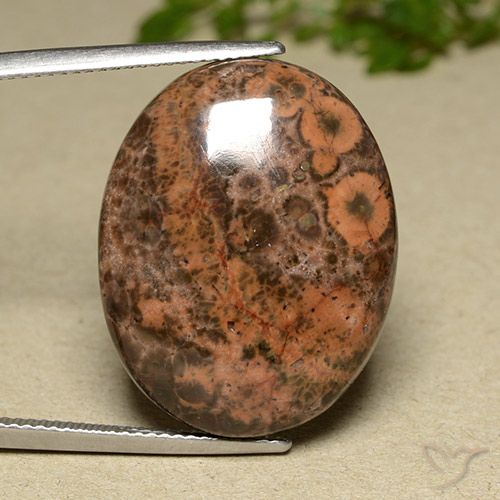22.97ct Naturel Multicolore Jaspe, ovale, Opaque