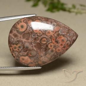 Jaspe Multicolore naturelle En forme de poire, 27.32 ct, Opaque