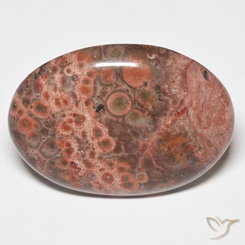 25.58ct Naturel Multicolore Jaspe, ovale, Opaque
