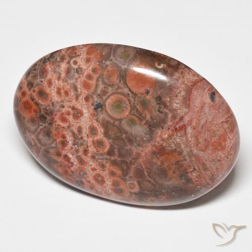 Jaspe Multicolore naturelle ovale, 25.58 ct, Opaque