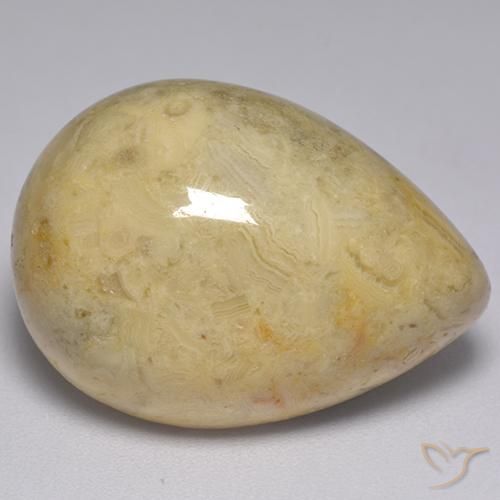 Jaspe Multicolore naturelle En forme de poire, 25.97 ct, Opaque