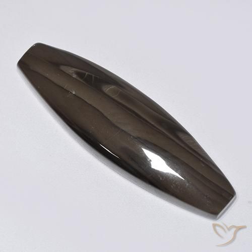 Jaspe Marron foncé naturelle Fantaisie, 22.16 ct, Opaque