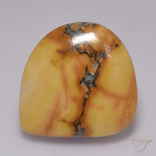 16.81ct Naturel Multicolore Jaspe, Fantaisie, Opaque