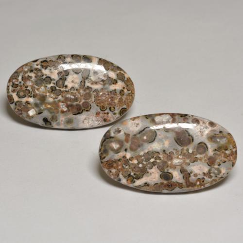 Achetez naturel 24.09ct Multicolore Jaspe gems, Coupe ovale, En provenance Indonésie chez GemSelect. En stock, livraison internationale!