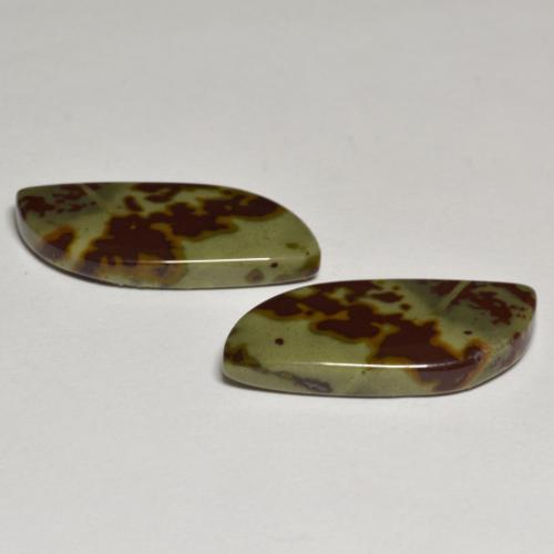Achetez naturel 16,50ct multicolore jaspe gems, forme fantaisie, en provenance indonésie chez gemselect. en stock, livraison internationale!