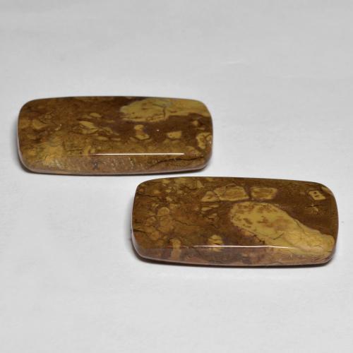 Achetez naturel 26.16ct Multicolore Jaspe gems, Coupe coussin, En provenance Indonésie chez GemSelect. En stock, livraison internationale!