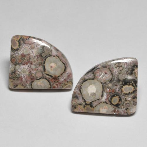 Achetez naturel 8,02ct multicolore jaspe gems, forme fantaisie, en provenance indonésie chez gemselect. en stock, livraison internationale!