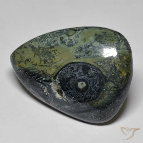 32.43ct Naturel Multicolore Jaspe, En forme de poire, Opaque