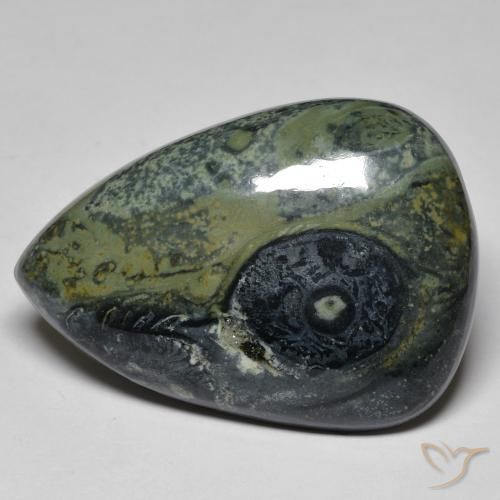 Jaspe Multicolore naturelle En forme de poire, 32.43 ct, Opaque