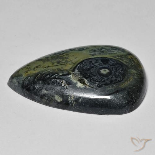 Jaspe Multicolore naturelle En forme de poire, 32.43 ct, Opaque