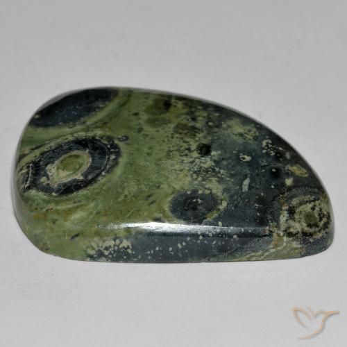Jaspe Multicolore naturelle Fantaisie, 42.95 ct, Opaque