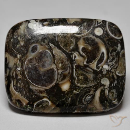 Jaspe Multicolore naturelle Coussin, 23.67 ct, Opaque