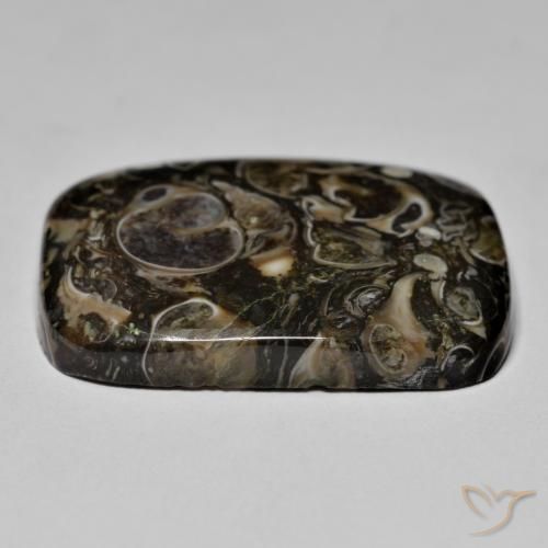 Jaspe Multicolore naturelle Coussin, 23.67 ct, Opaque