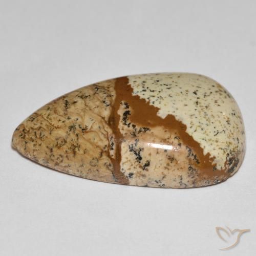 Jaspe Multicolore naturelle En forme de poire, 24.18 ct, Opaque