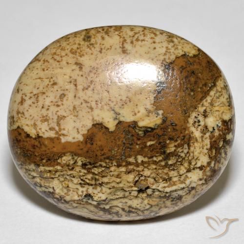 32.88ct Naturel Multicolore Jaspe, ovale, Opaque