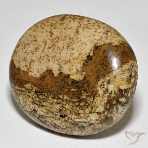 Jaspe Multicolore naturelle ovale, 32.88 ct, Opaque