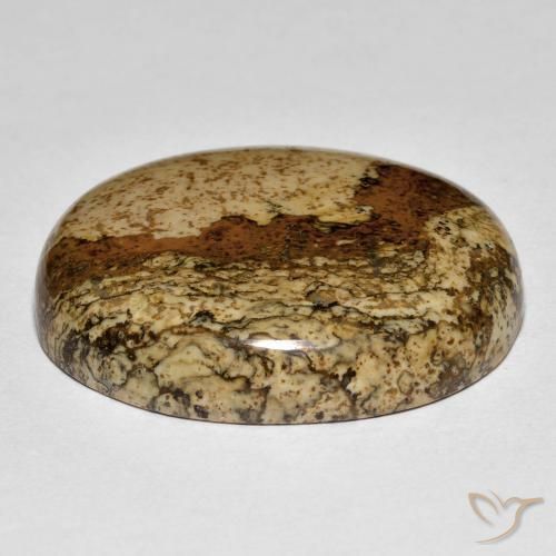 Jaspe Multicolore naturelle ovale, 32.88 ct, Opaque