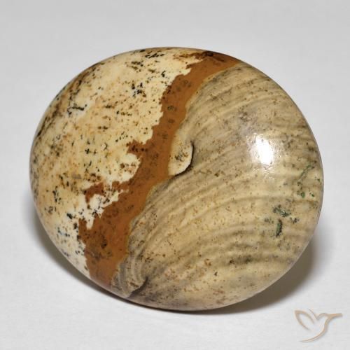 26.64ct Naturel Multicolore Jaspe, ovale, Opaque