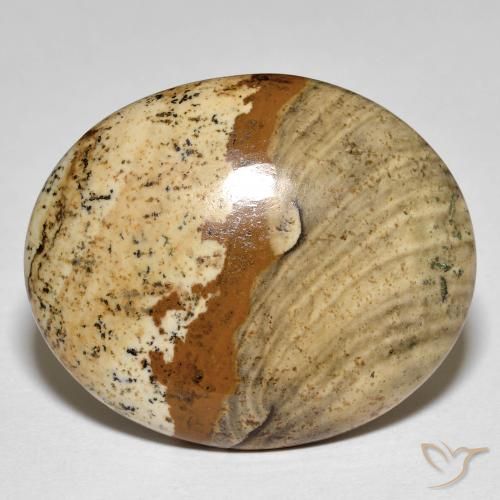 Jaspe Multicolore naturelle ovale, 26.64 ct, Opaque