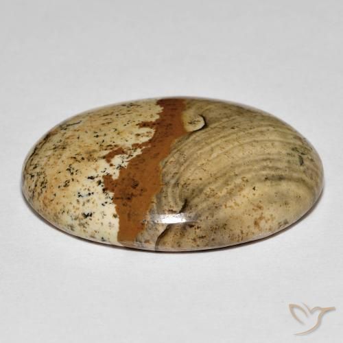 Jaspe Multicolore naturelle ovale, 26.64 ct, Opaque
