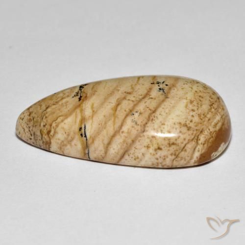 Jaspe Multicolore naturelle En forme de poire, 32.33 ct, Opaque