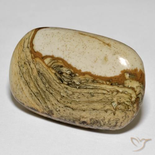 Jaspe Multicolore naturelle Coussin, 34.74 ct, Opaque