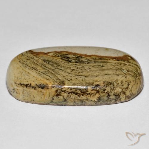 Jaspe Multicolore naturelle Coussin, 34.74 ct, Opaque