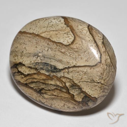 50.05ct Naturel Multicolore Jaspe, ovale, Opaque