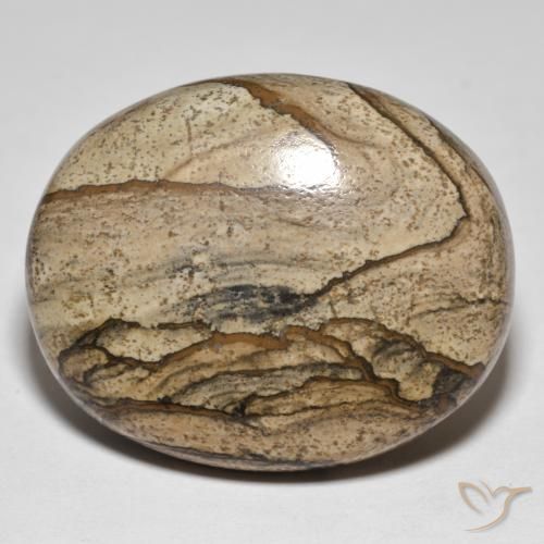 Jaspe Multicolore naturelle ovale, 50.05 ct, Opaque