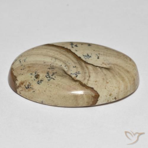 Jaspe Multicolore naturelle ovale, 23.20 ct, Opaque