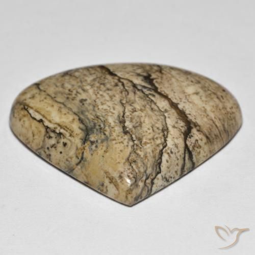 Jaspe Multicolore naturelle En forme de poire, 32.69 ct, Opaque
