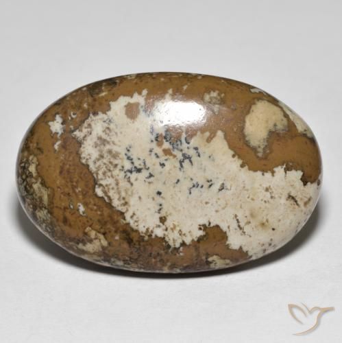Jaspe Multicolore naturelle ovale, 34.78 ct, Opaque