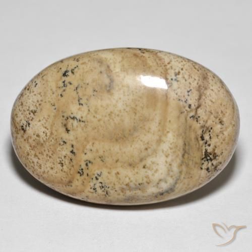 31.50ct Naturel Multicolore Jaspe, ovale, Opaque