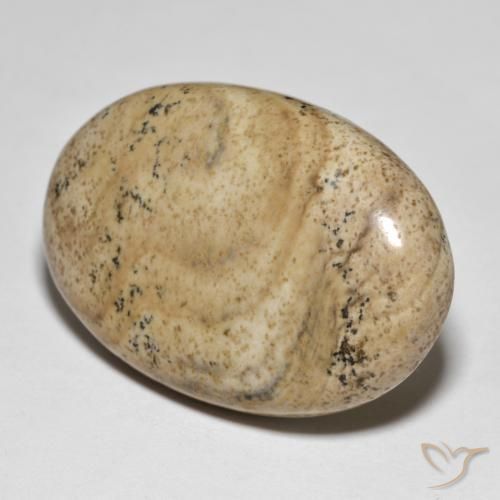 Jaspe Multicolore naturelle ovale, 31.50 ct, Opaque