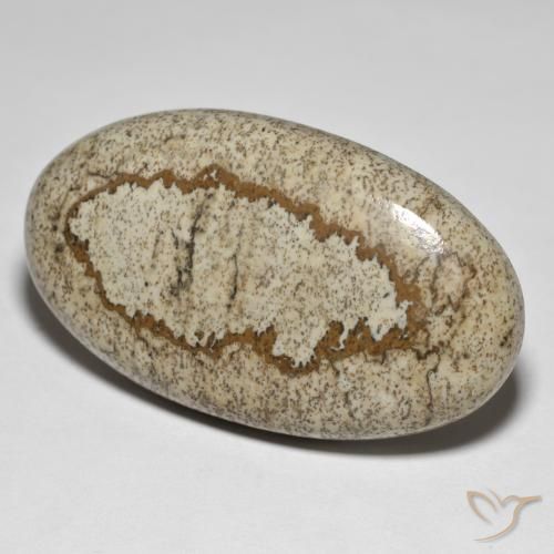 50.64ct Naturel Multicolore Jaspe, ovale, Opaque