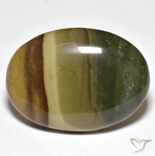 22.93ct Naturel Multicolore Jaspe, ovale, Opaque