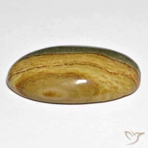 Jaspe Multicolore naturelle ovale, 23.89 ct, Opaque