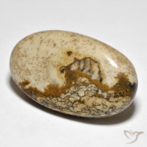 Jaspe Multicolore naturelle ovale, 29.80 ct, Opaque