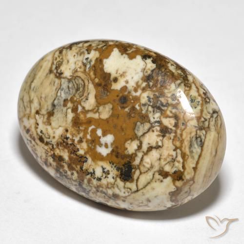 19.98ct Naturel Multicolore Jaspe, ovale, Opaque