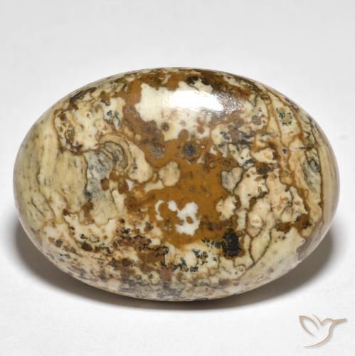 Jaspe Multicolore naturelle ovale, 19.98 ct, Opaque