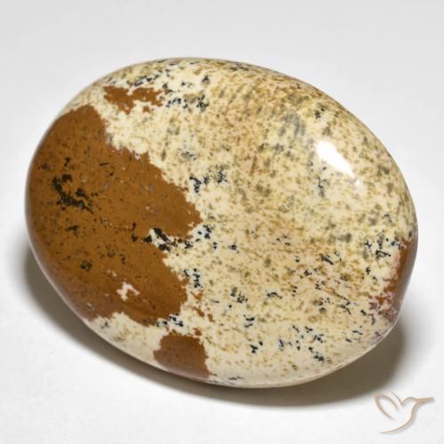 Jaspe Multicolore naturelle ovale, 35.50 ct, Opaque