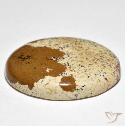 Jaspe Multicolore naturelle ovale, 35.50 ct, Opaque